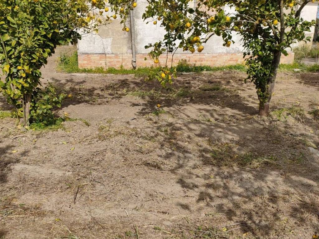 Terreno a Bernalda in Contrada Mercuragno - Foto 5