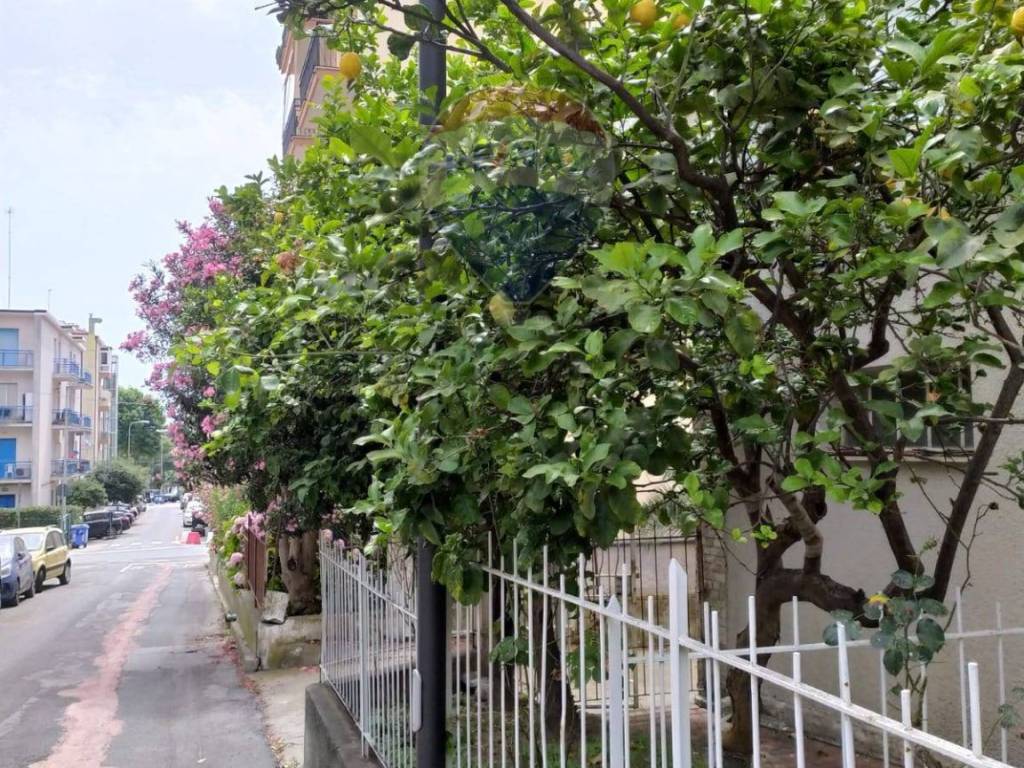 Appartamento a Albisola superiore - Foto 4