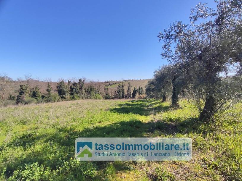 Rustico / casale a Ortona in via tratturello - Foto 2