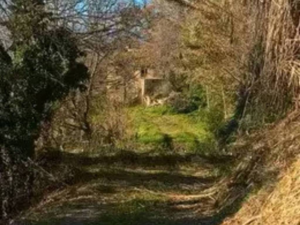Rustico / casale a Monterubbiano in Contrada Canniccio, Snc - Foto 3