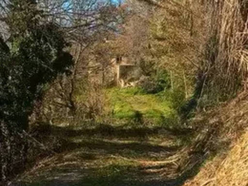 Rustico / casale a Monterubbiano in Contrada Canniccio - Foto 3