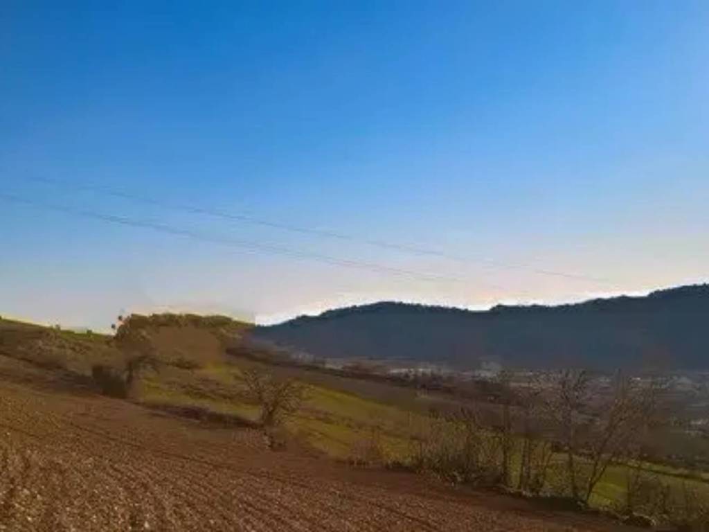 Rustico / casale a Monterubbiano in Contrada Canniccio, Snc - Foto 4