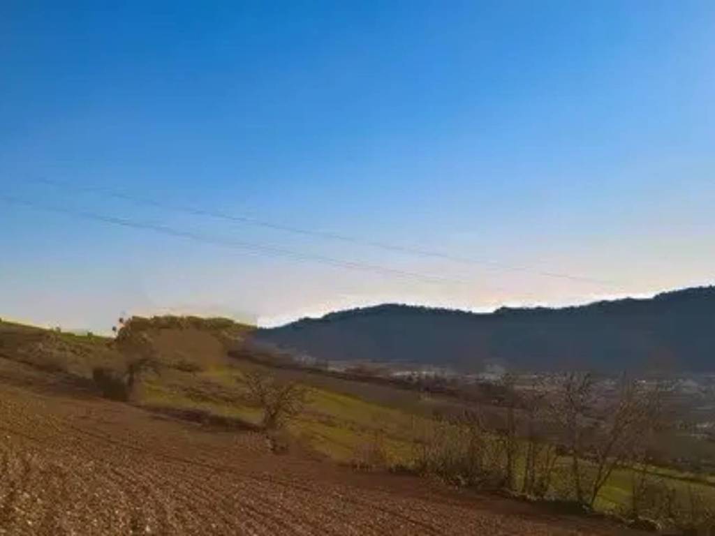 Rustico / casale a Monterubbiano in Contrada Canniccio - Foto 4