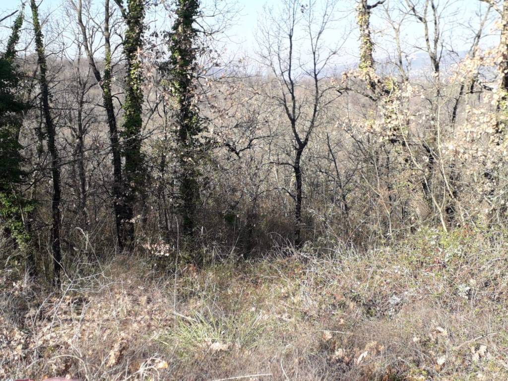 Terreno a Candida in SP280 - Foto 3