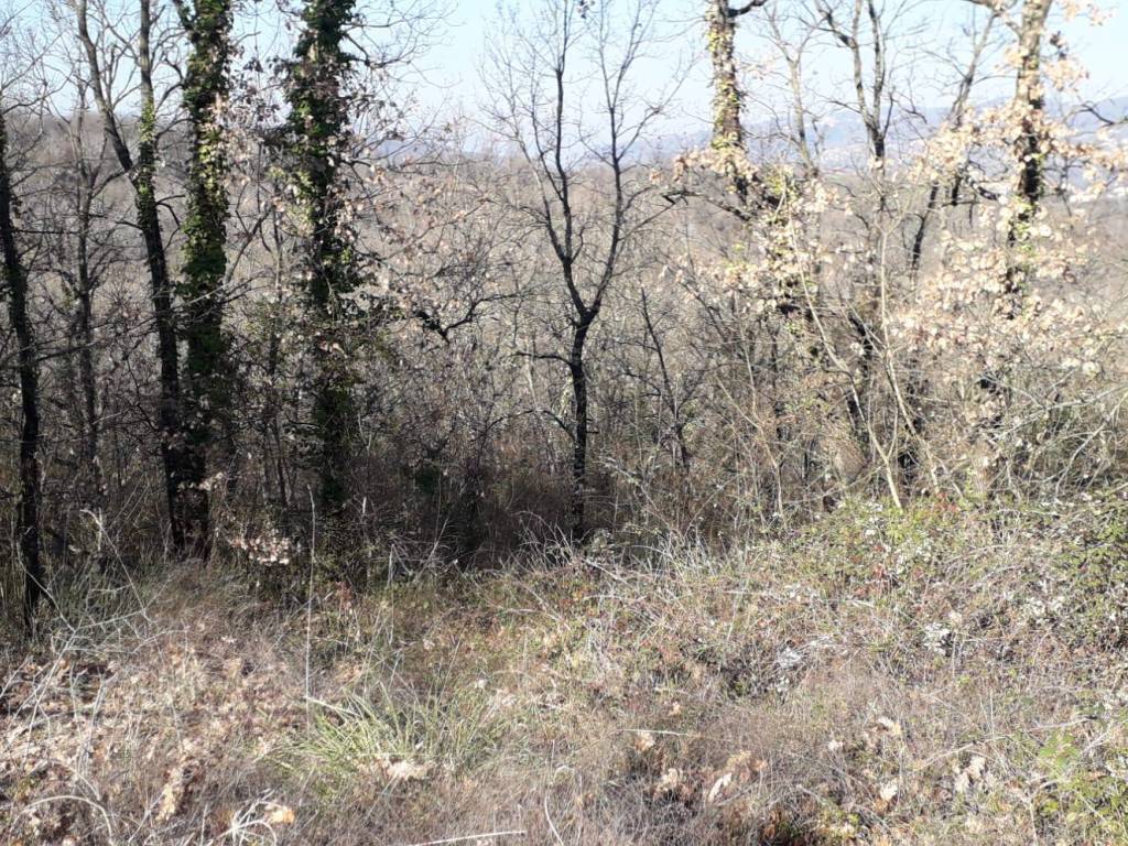 Terreno a Candida in SP280 - Foto 4