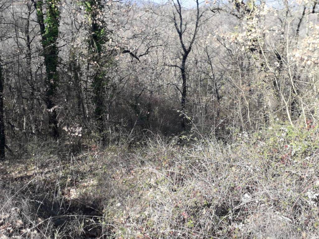 Terreno a Candida in SP280 - Foto 5