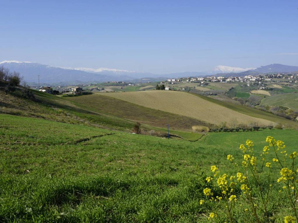 Rustico / casale a Offida - Foto 2