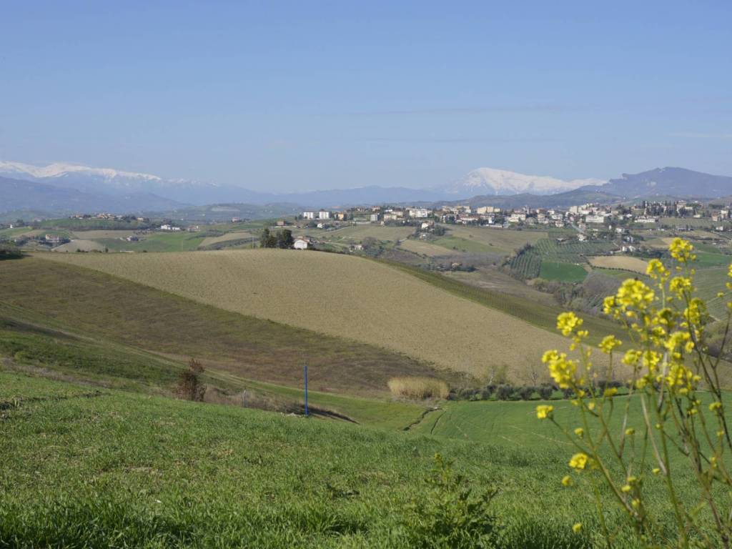 Rustico / casale a Offida - Foto 4