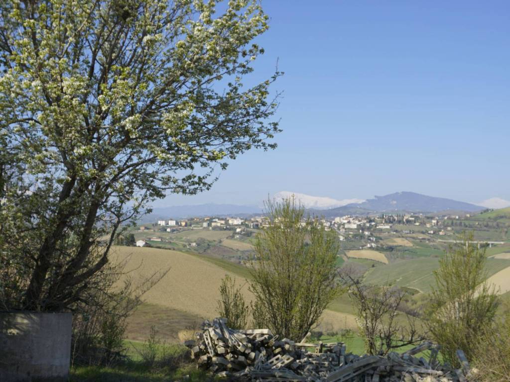 Rustico / casale a Offida - Foto 5