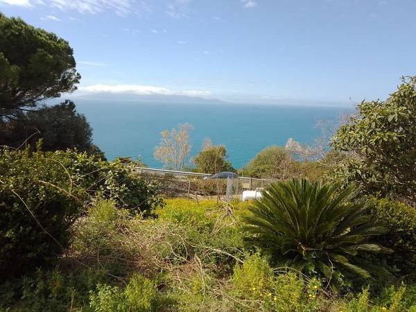 Villa a Monte argentario in Strada Provinciale Panoramica Porto Santo Stefano - Foto 5