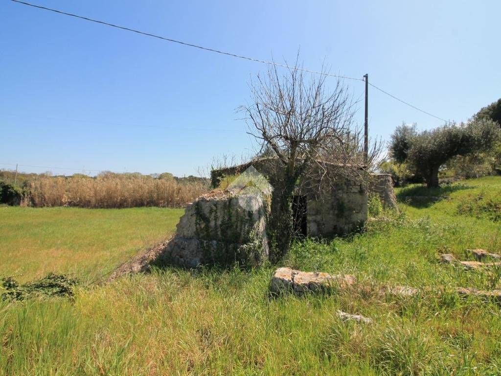 Rustico / casale a Ostuni - Foto 5