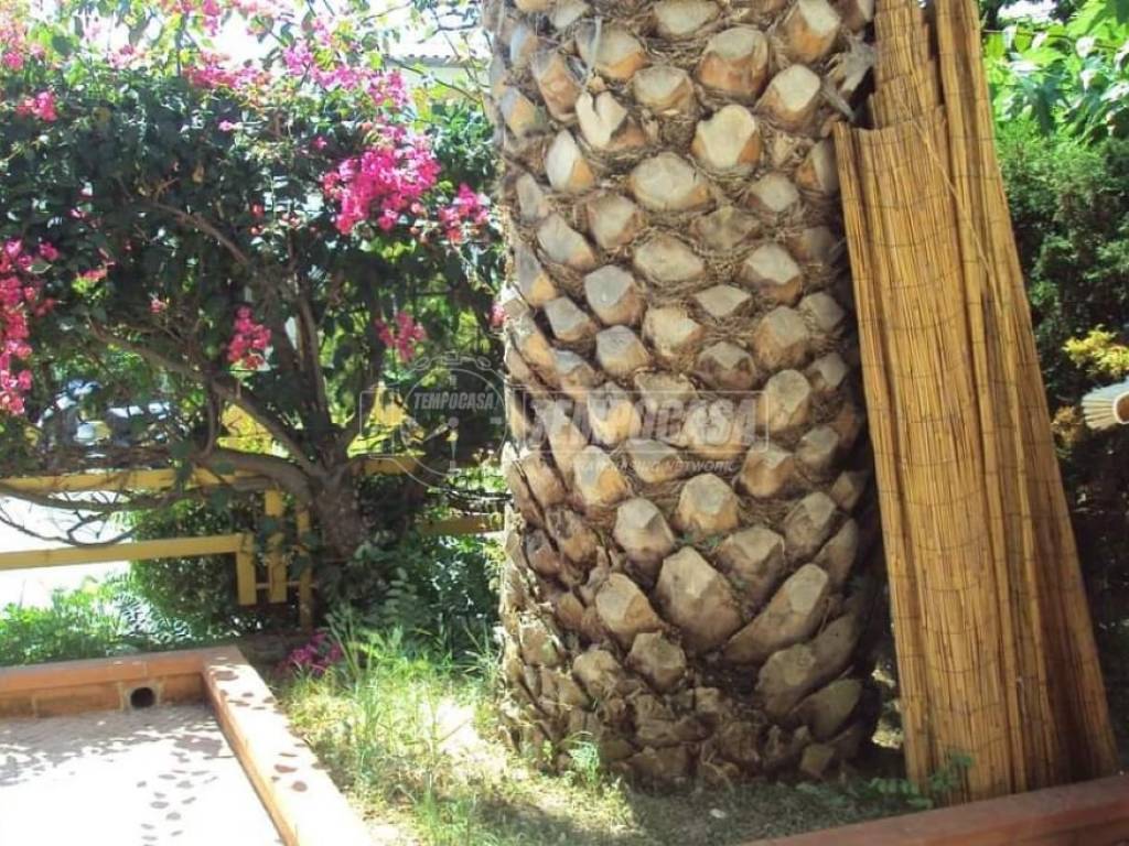 Appartamento a San nicola arcella in Località Vannefora, 2 - Foto 5