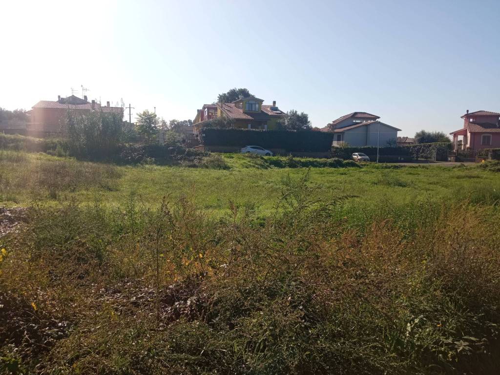 Terreno a Vetralla - Foto 4