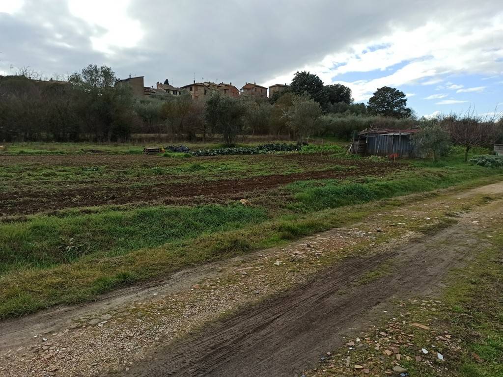Immobile a Castiglione del lago in Località Pucciarelli - Foto 5