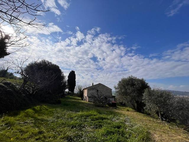 Rustico / casale a Osimo - Foto 5