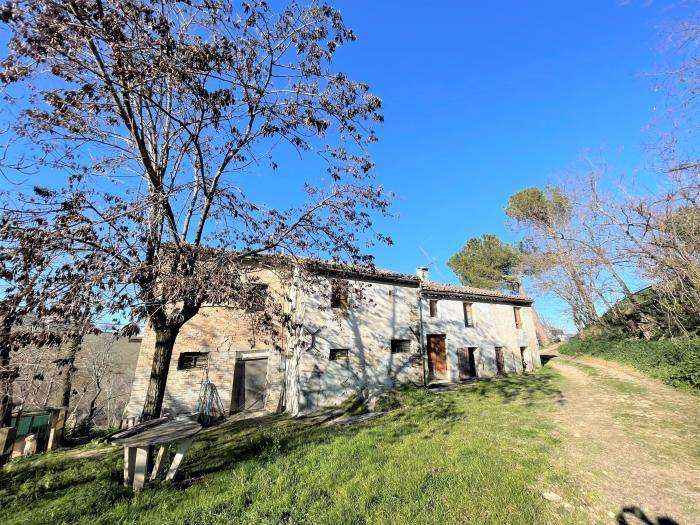 Rustico / casale a Corinaldo - Foto 3