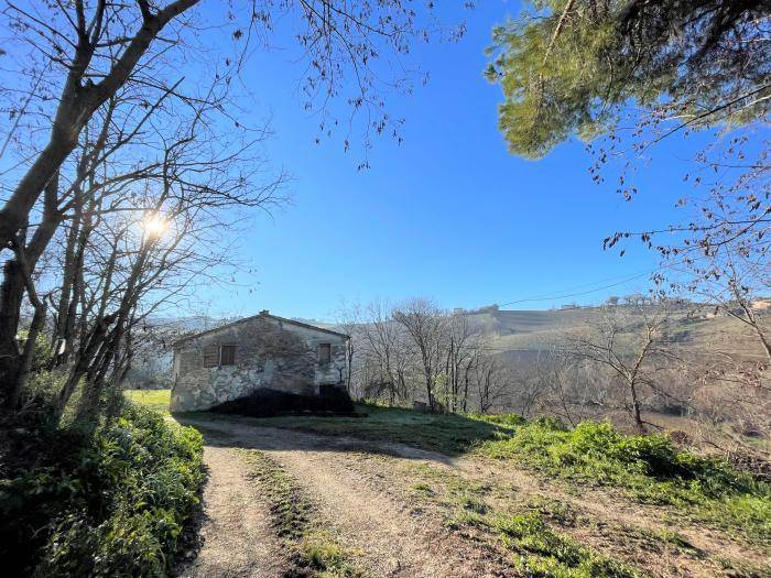 Rustico / casale a Corinaldo - Foto 4