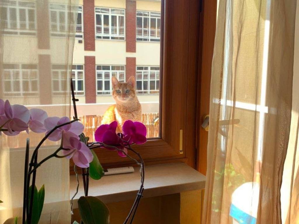 Appartamento a Torino in Via Carolina Invernizio, 5 - Foto 3