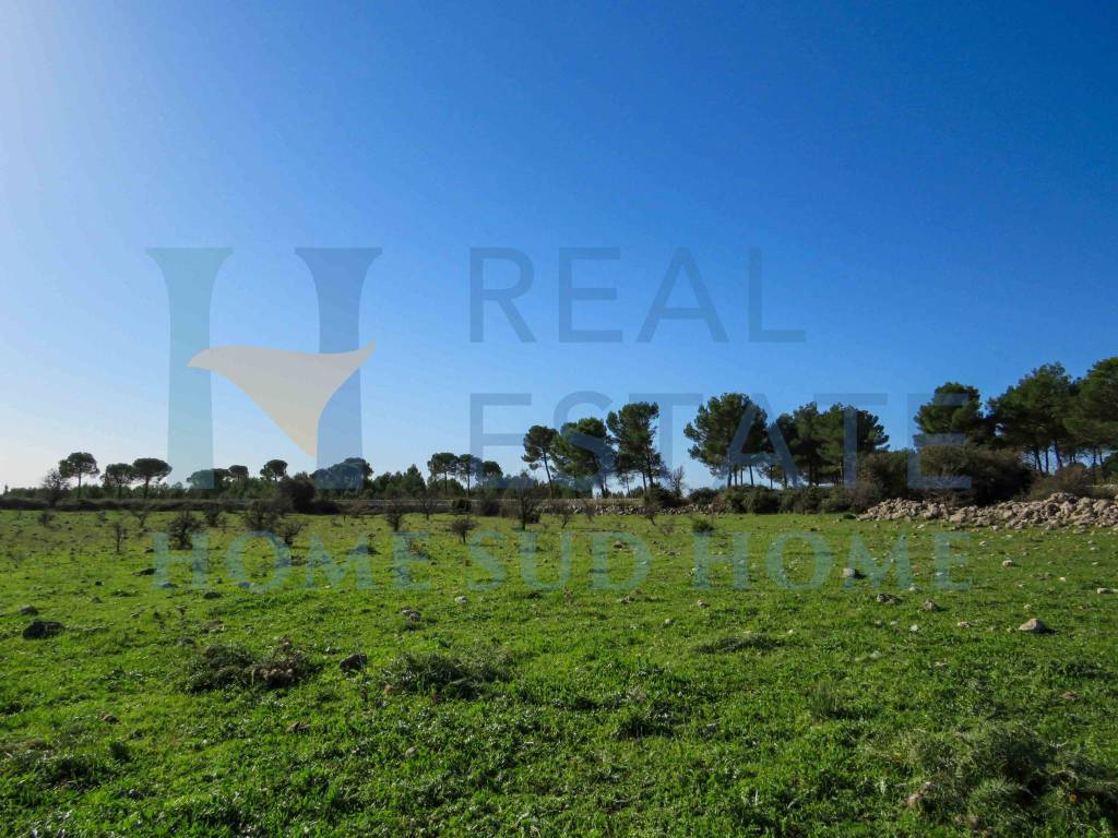 Terreno a Noto in Via Tommaso Fazello, 228 - Foto 5