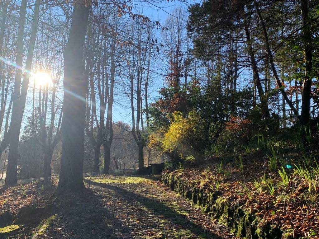 Villa a Acqui terme - Foto 5