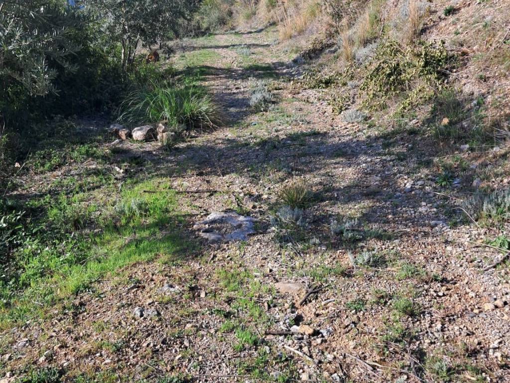 Terreno a Santa domenica talao in Contrada Canneta - Foto 2