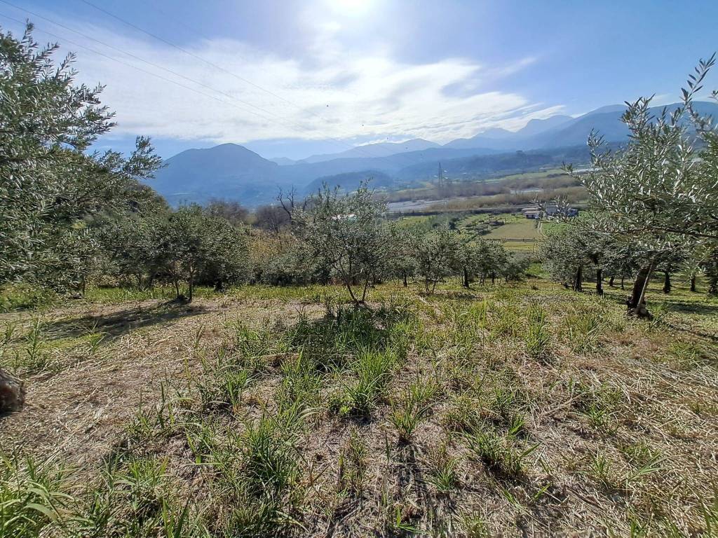 Terreno a Santa domenica talao in Contrada Canneta - Foto 3