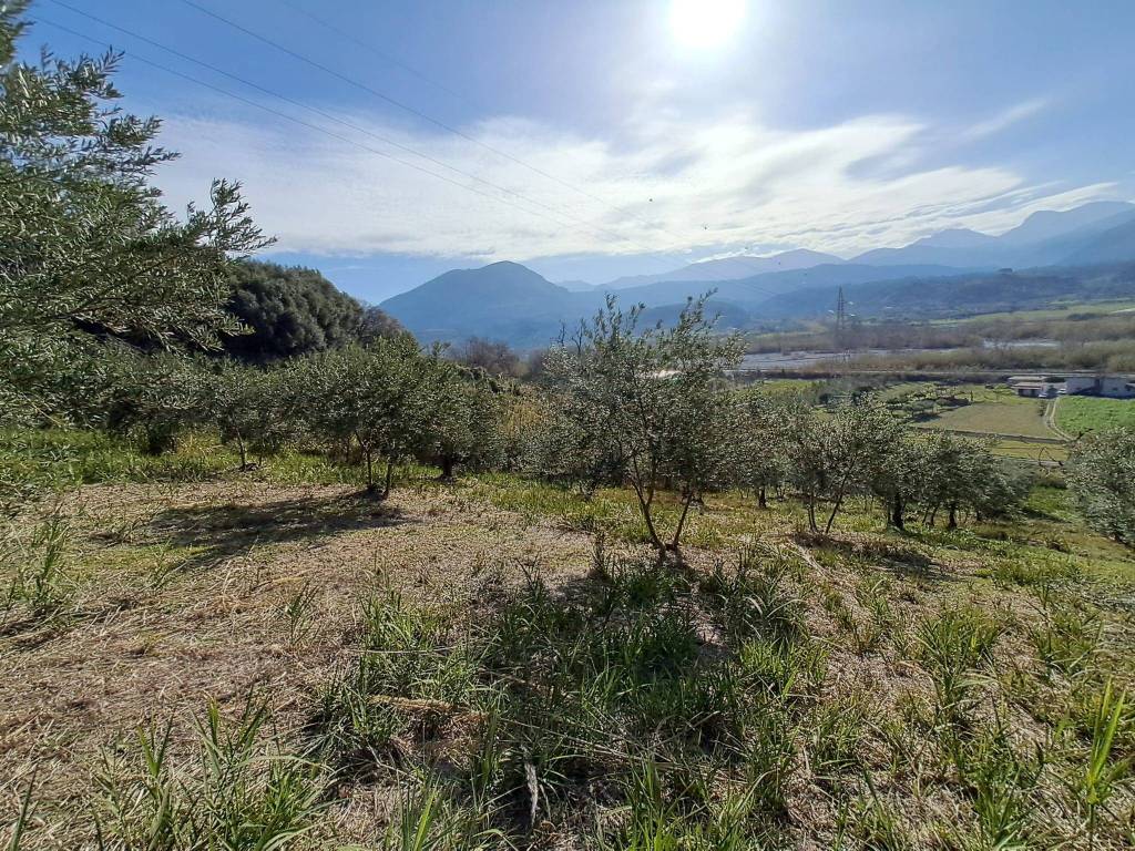Terreno a Santa domenica talao in Contrada Canneta - Foto 5