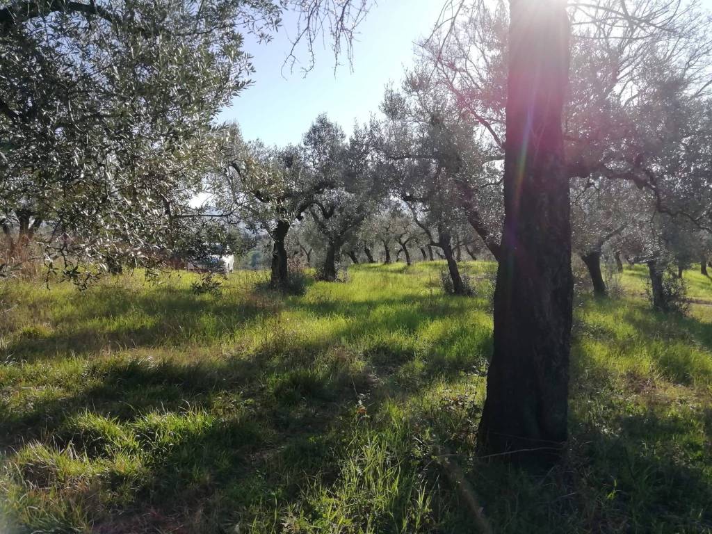 Terreno a Fara in sabina in Via Cianfronara - Foto 2