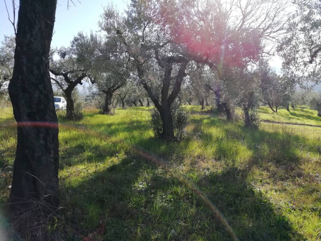Terreno a Fara in sabina in Via Cianfronara - Foto 5