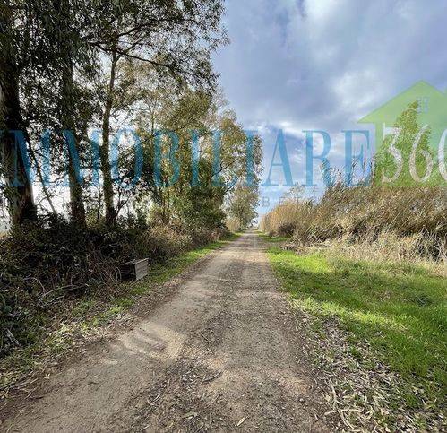 Terreno a Orbetello in Via Dello Stagnone - Foto 3