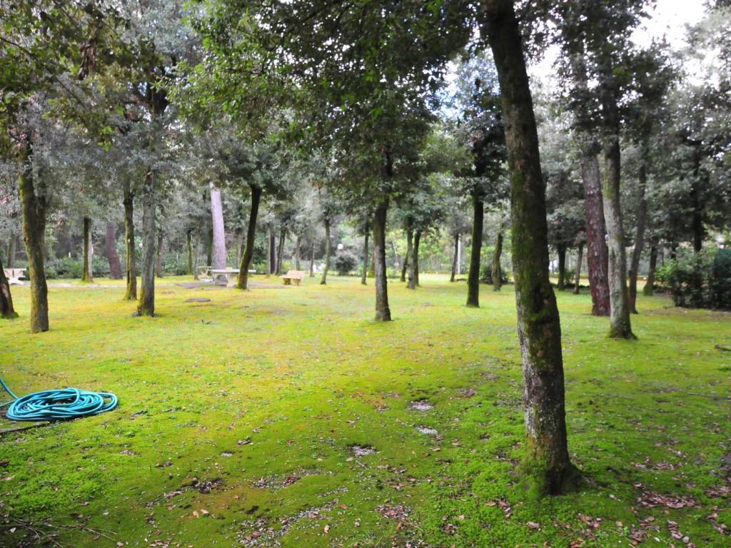 Appartamento a Pietrasanta - Foto 2