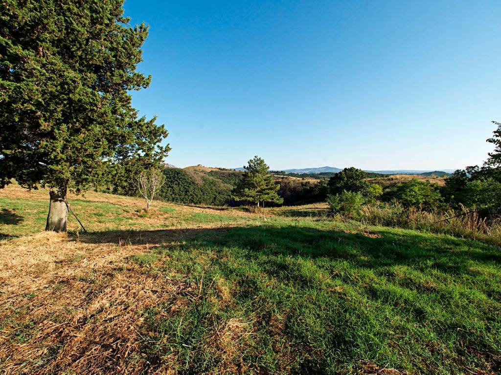 Rustico / casale a Cinigiano - Foto 4