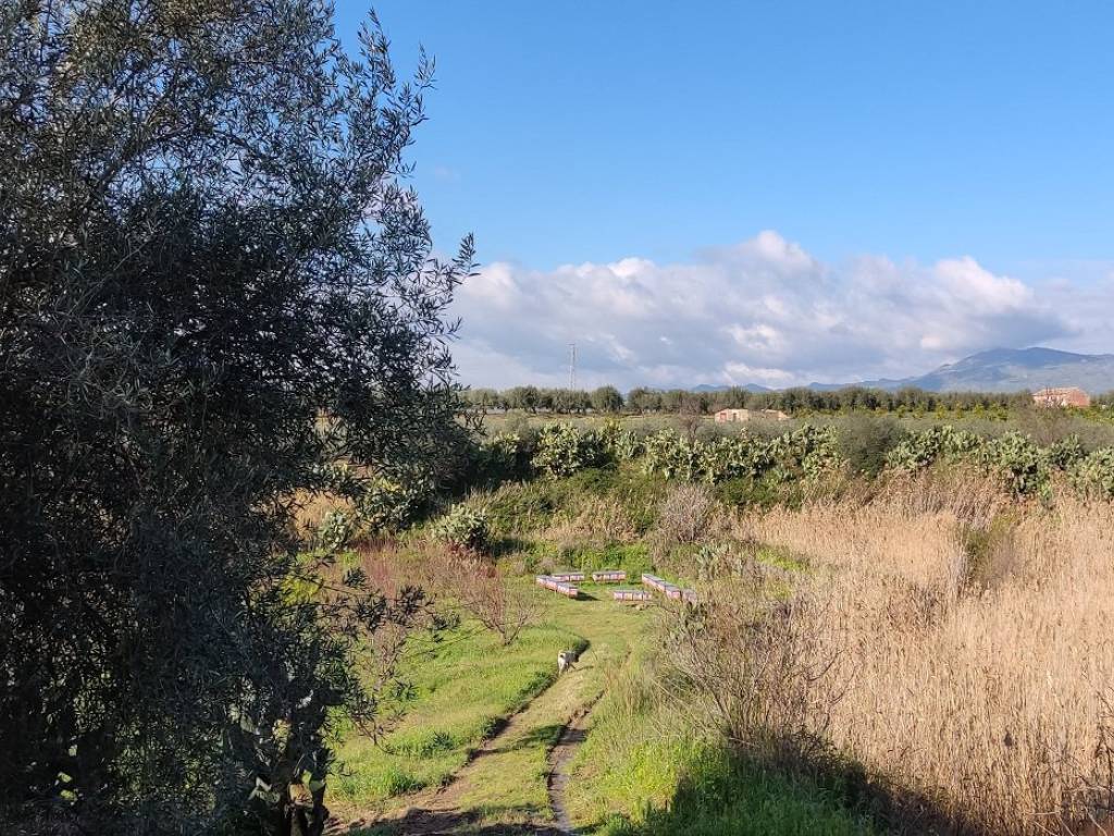 Terreno a Centuripe - Foto 3