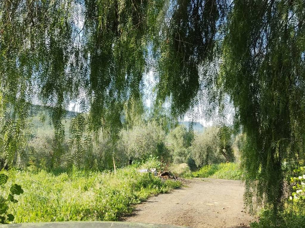 Terreno a Centuripe - Foto 5