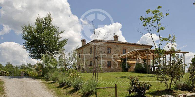 Rustico / casale a Monteleone d'orvieto - Foto 2