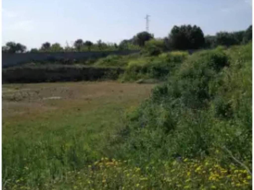 Rustico / casale a Carovigno in via Santissimo Crocifisso - Foto 2