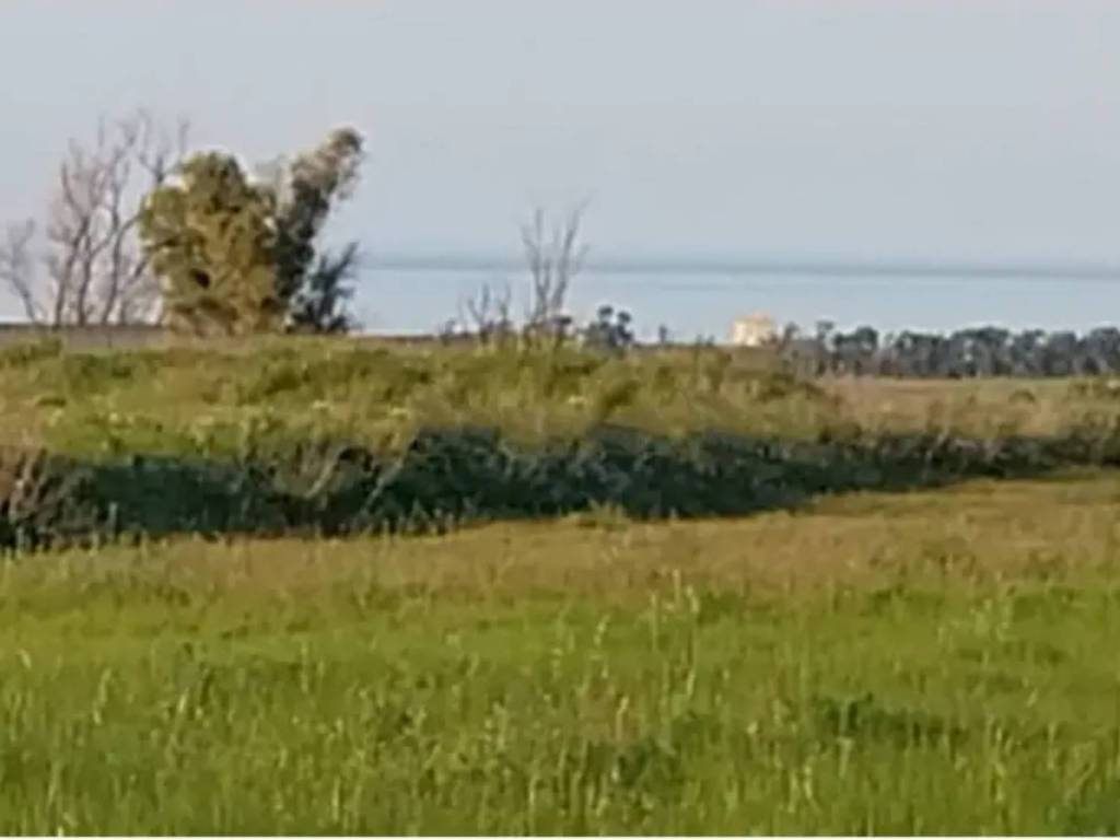 Rustico / casale a Carovigno in via Santissimo Crocifisso - Foto 3