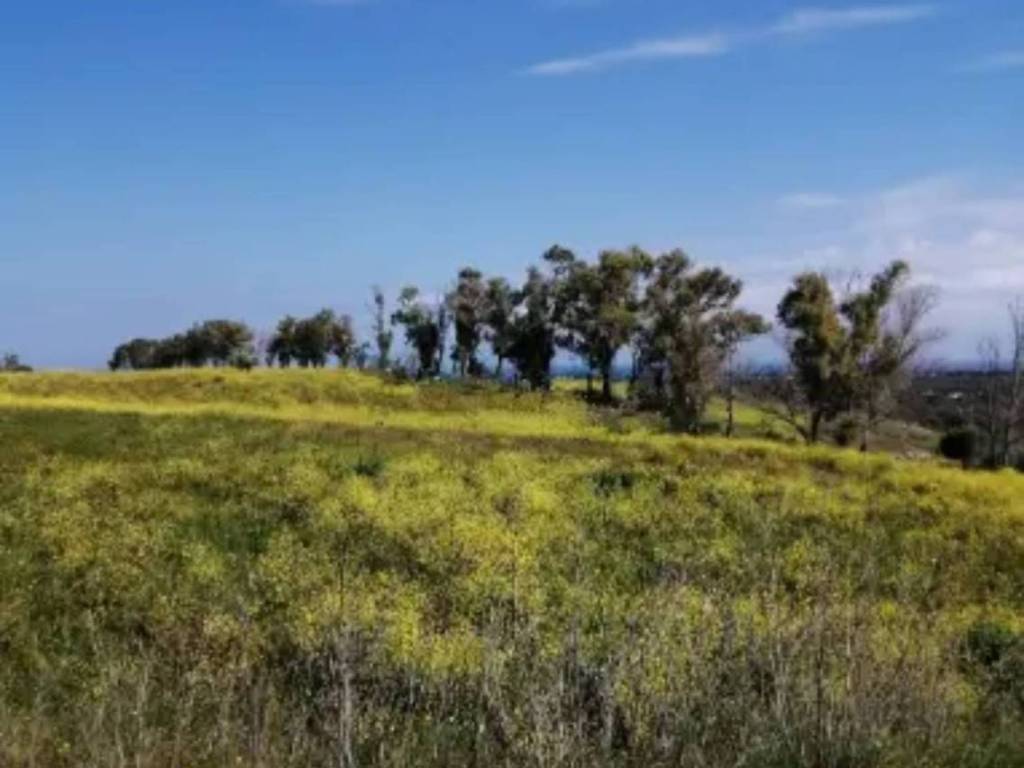 Rustico / casale a Carovigno in via Santissimo Crocifisso - Foto 4