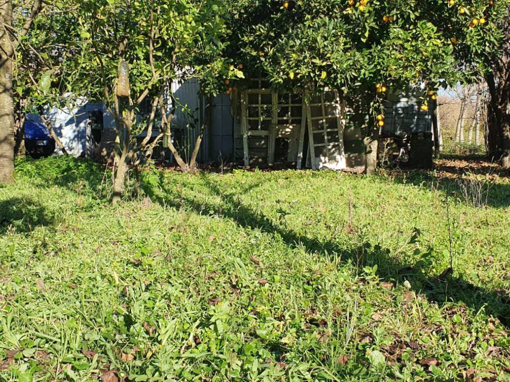 Terreno a Montoro in Via Frontale - Foto 2