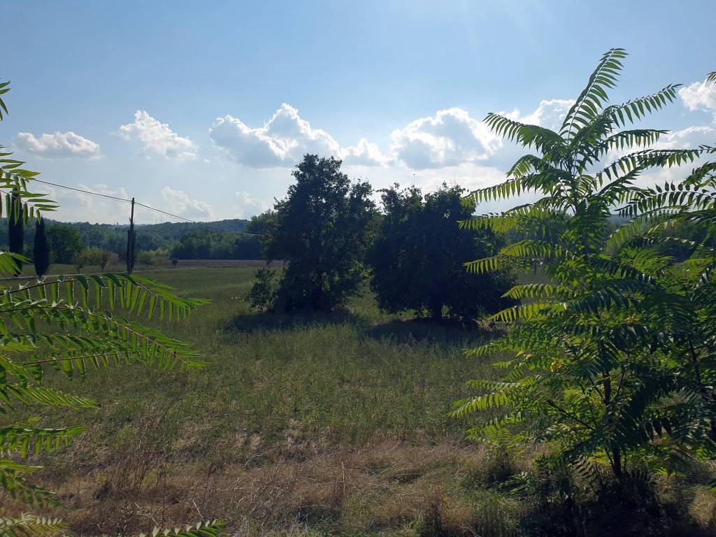 Rustico / casale a Orvieto in SP101 - Foto 5