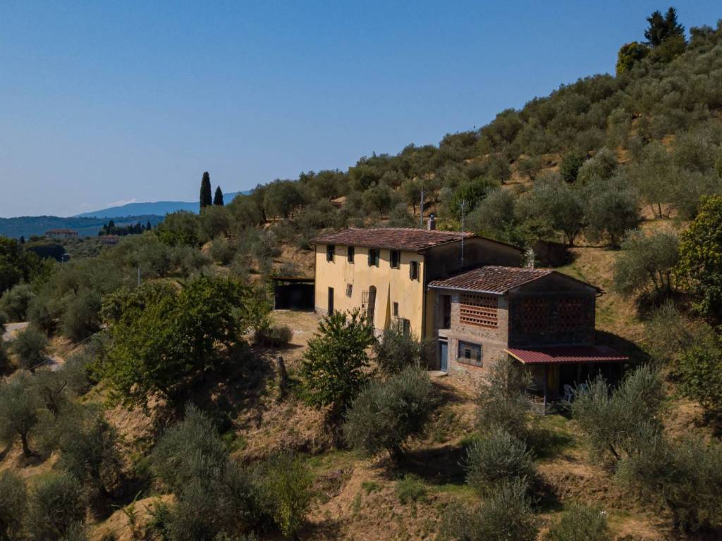 Rustico / casale a Pescia in Via del Pozzetto, 38 - Foto 3