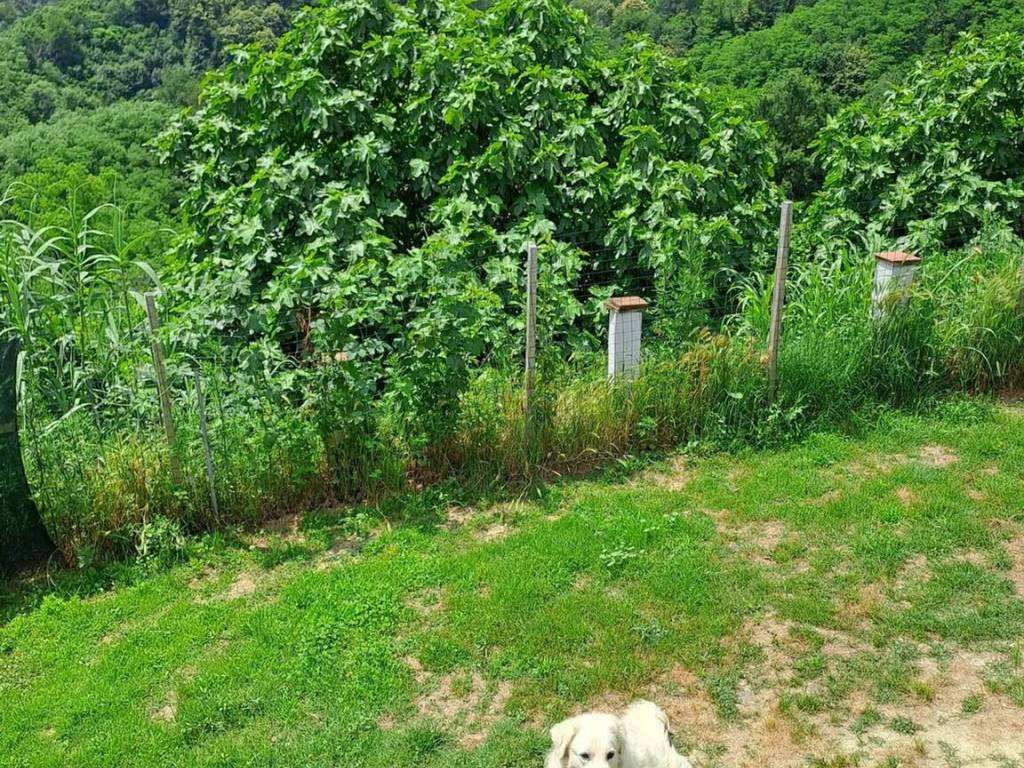 Rustico / casale a Ferrere in Collina San Giuseppe, 27 - Foto 4