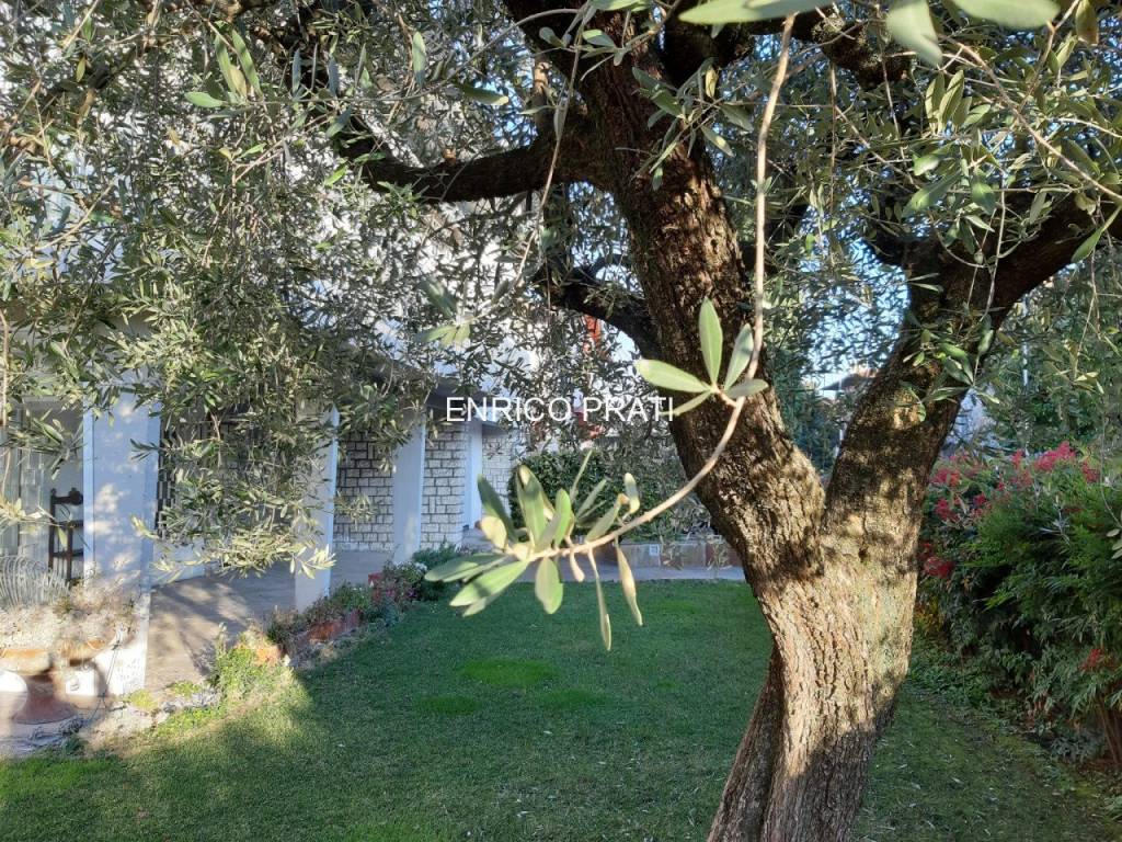 Villa a Bassano del grappa in Via San Carlo Borromeo, 5 - Foto 2