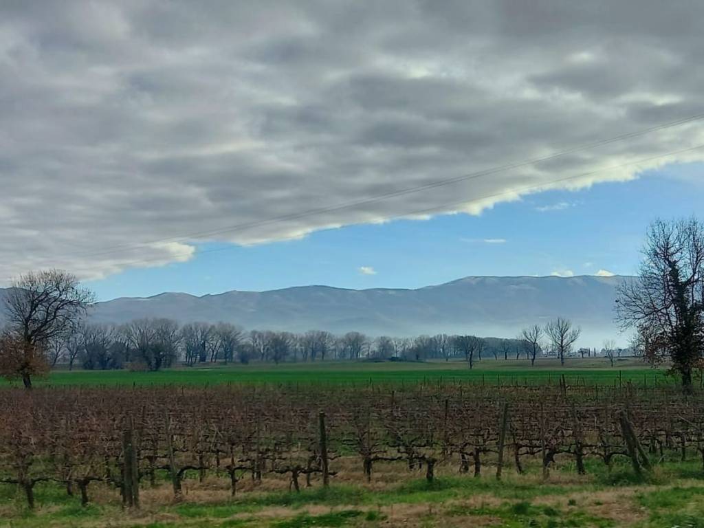 Villa a Montefalco in Località Torre - Foto 5
