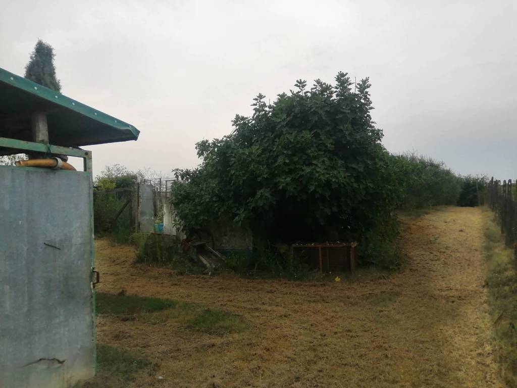 Terreno a Casciana terme lari - Foto 4