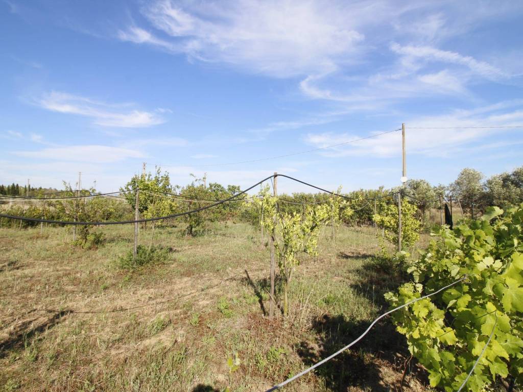 Terreno a Assemini in Sa Traia - Foto 5