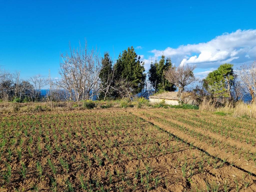 Terreno a Briatico in SP85 - Foto 2