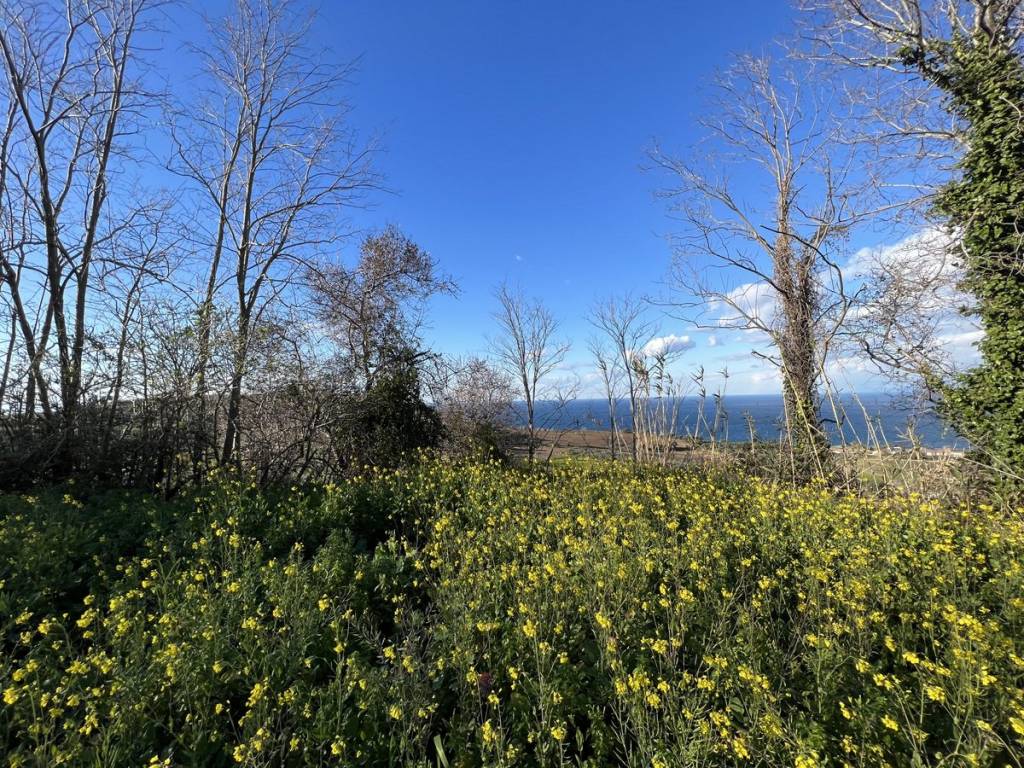 Terreno a Briatico in SP85 - Foto 4