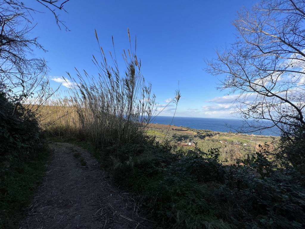 Terreno a Briatico in SP85 - Foto 5