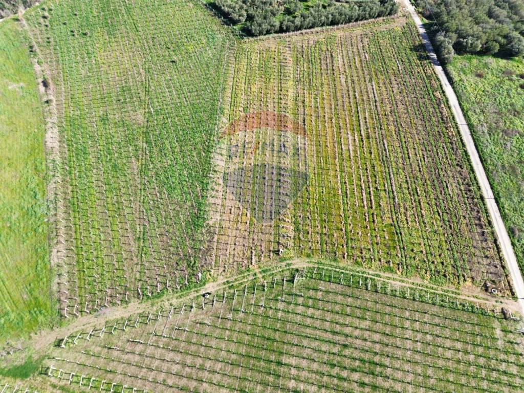 Terreno a Torino di sangro in C.da Lentesco - Foto 4